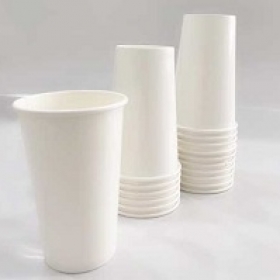 LY GIẤY 16OZ - 480ML
